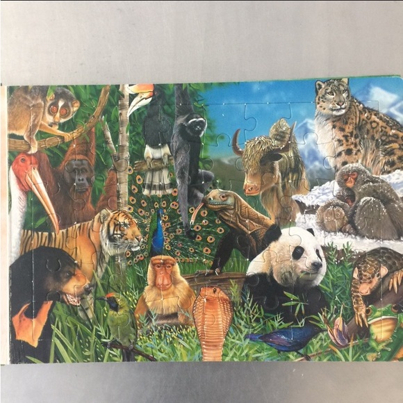 ⭐️Animals of the World⭐️puzzle - Picture 6 of 8